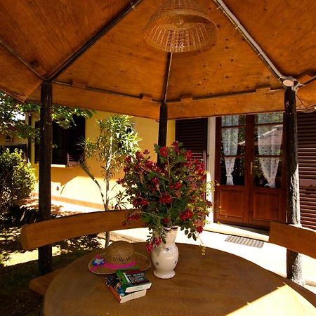Agriturismo I Cerroni מונטסקודאיו מראה חיצוני תמונה