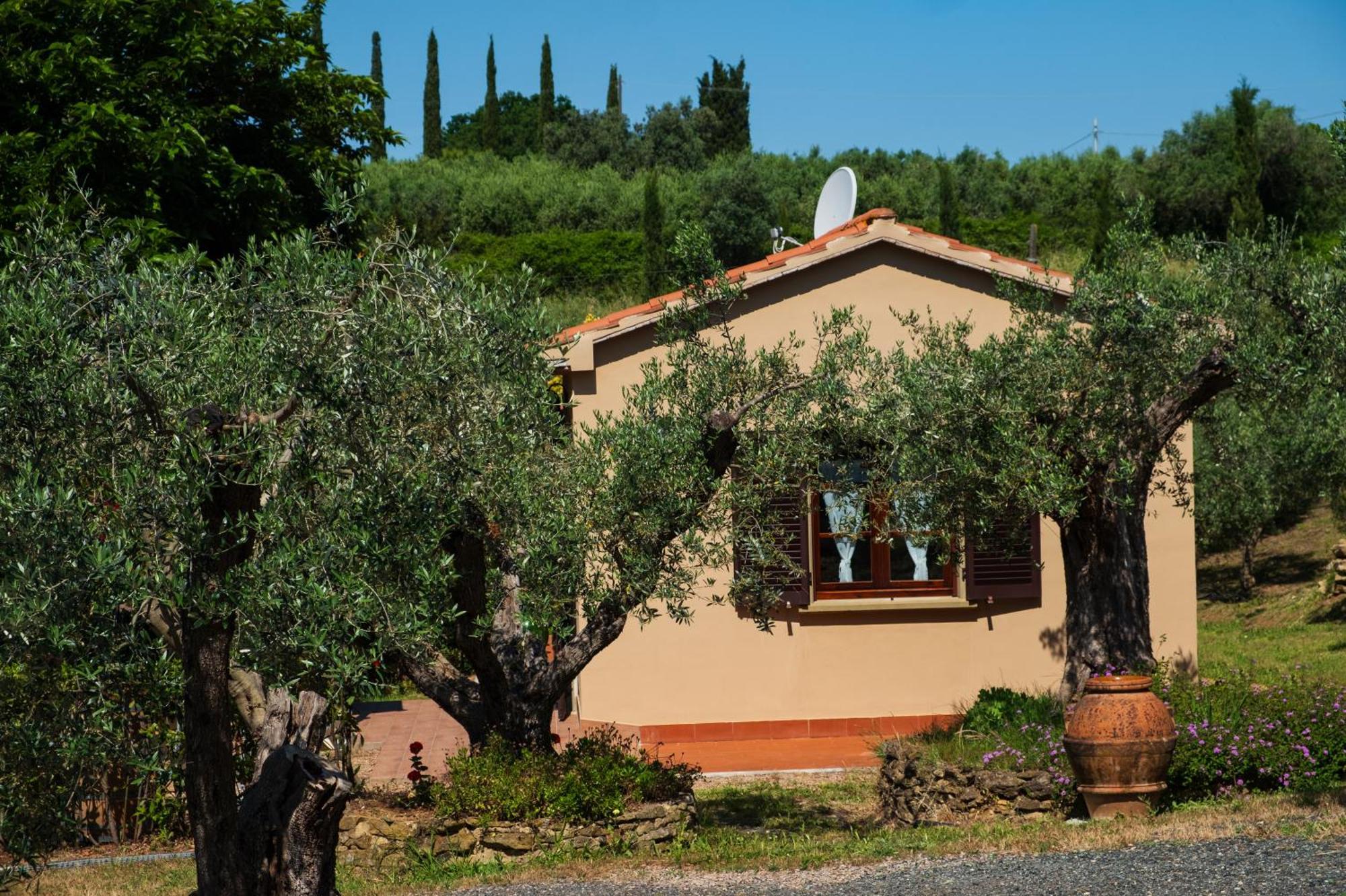 Agriturismo I Cerroni מונטסקודאיו מראה חיצוני תמונה