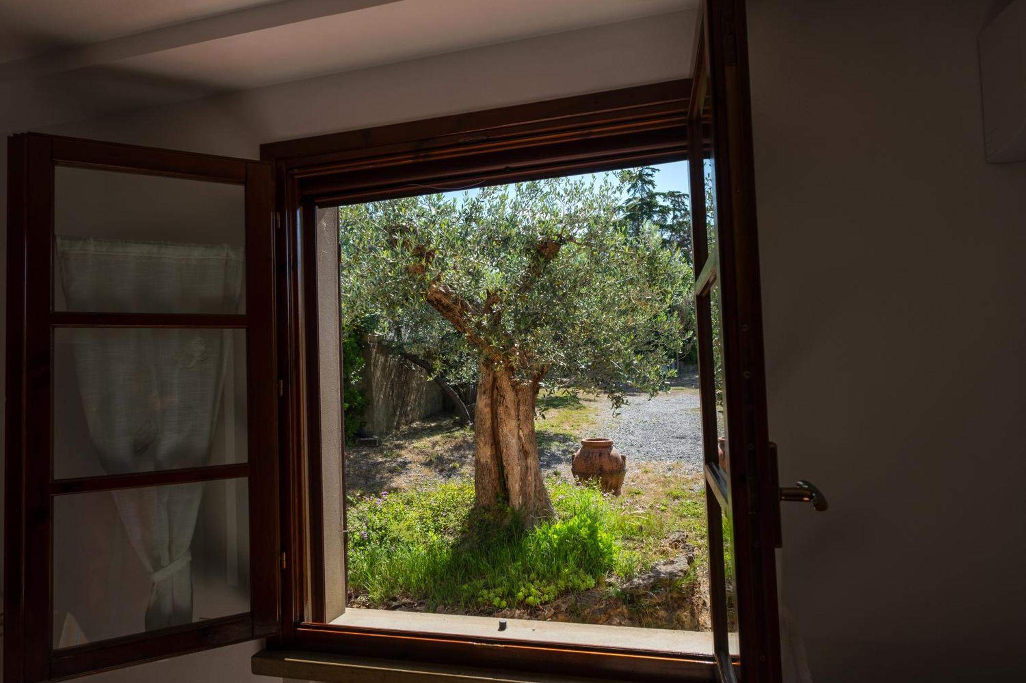 Agriturismo I Cerroni מונטסקודאיו מראה חיצוני תמונה